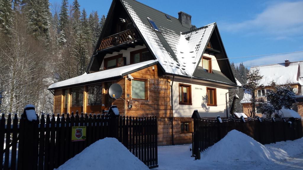 Homestay Srebrny Potok Zakopane Exterior foto